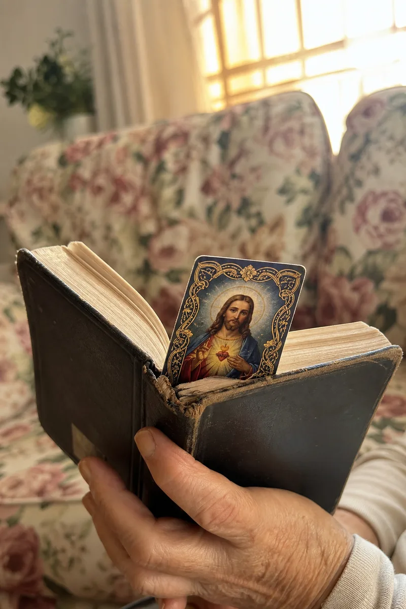 Foto enviada na conversa: marcadores católicos da Coleção Luz da Fé